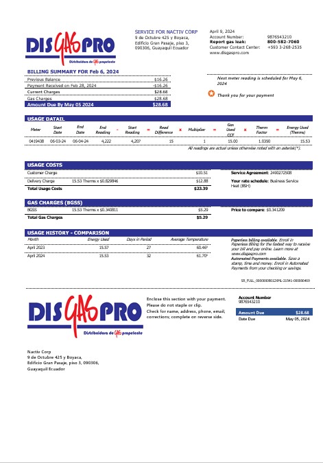 Ecuador Disgaspro gas business utility bill template in Word and pdf formats